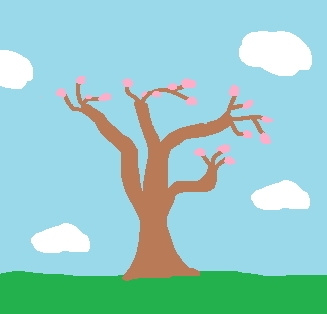 A blossoming cherry tree / Nov 5, 2025